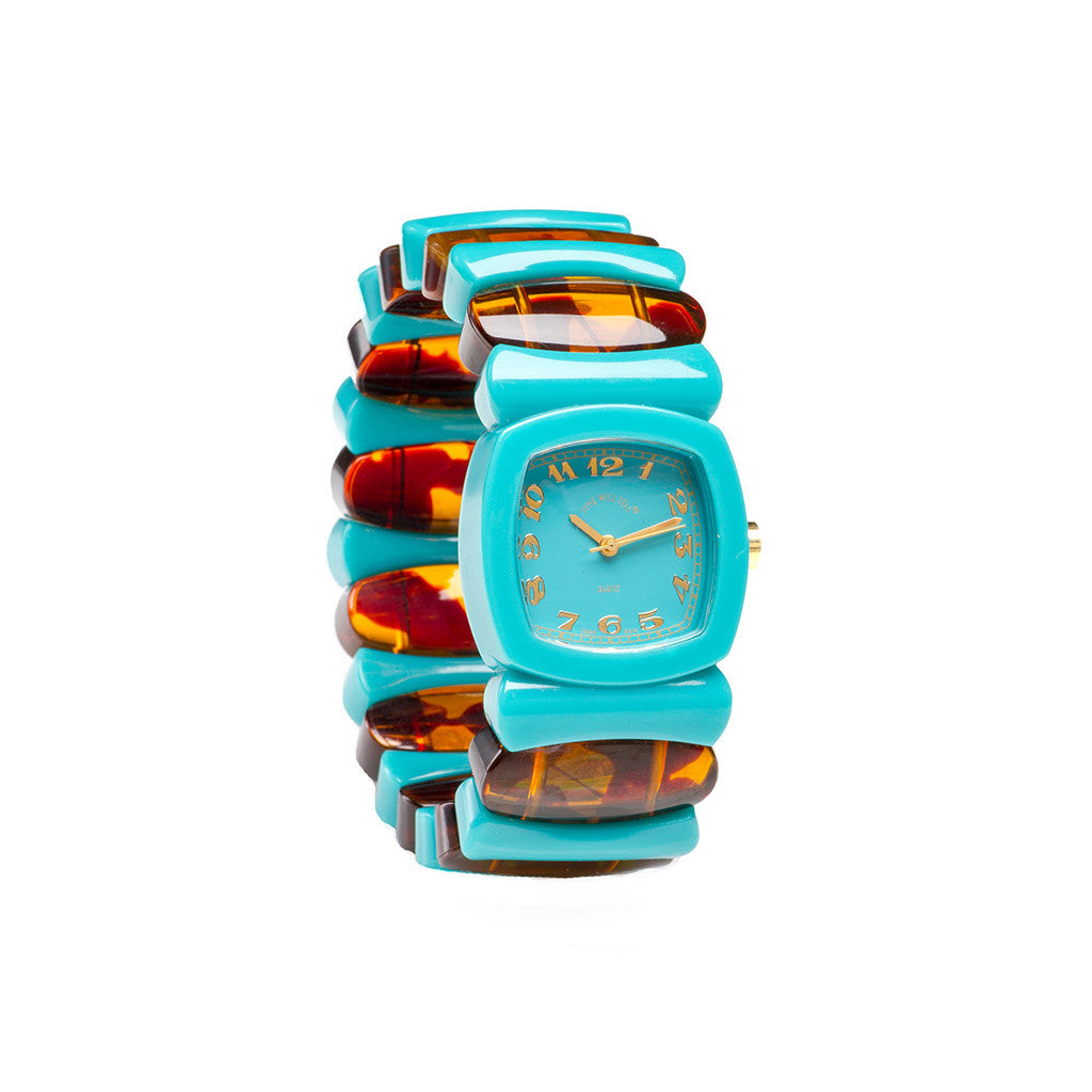 Turquoise Tortoise Rainbow