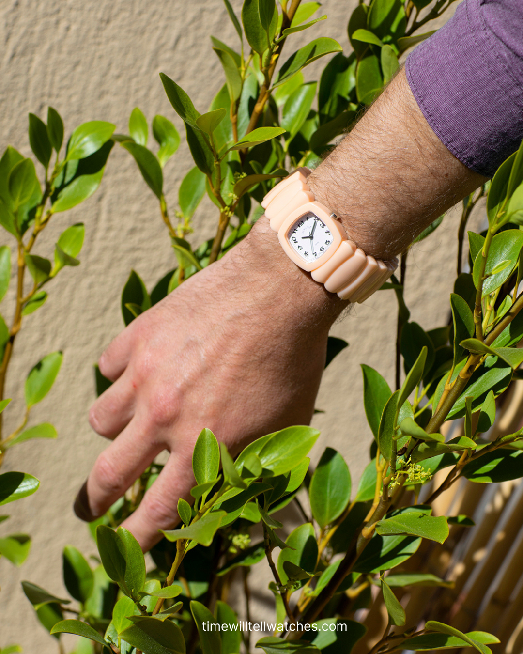 TimeWillTell Watches – Time Will Tell TimeWillTell Watches – Time Will Tell